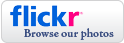 Browse our photos on Flickr.