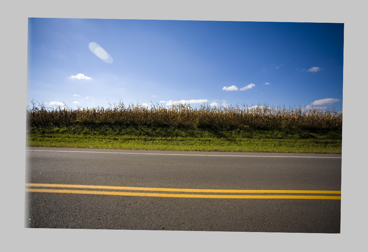 Booksmart Fine Art Metal Image Crooked Booksmart Fine Art Metal Image Crooked