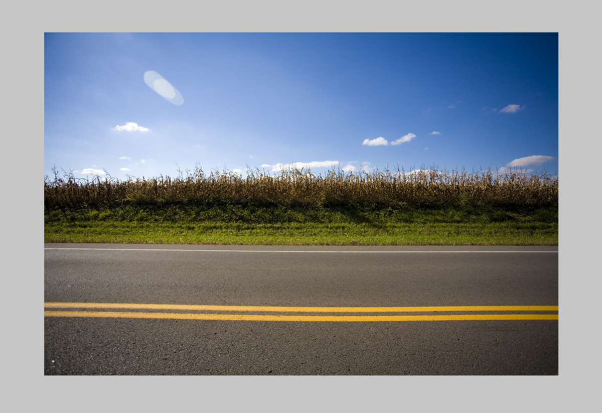 Booksmart Fine Art Metal Image Loading Issues Booksmart Fine Art Metal Image Loading Issues